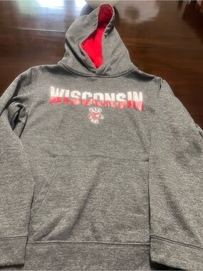 Campus Heritage Gray Hoodie with Red Lining